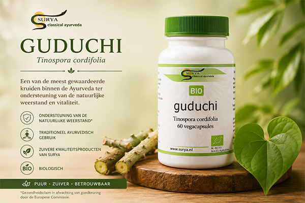 Guduchi (Tinospora cordifolia)
