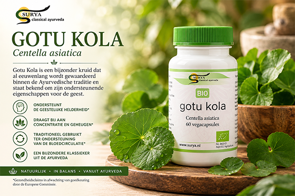 Gotu Kola (Centella asiatica)