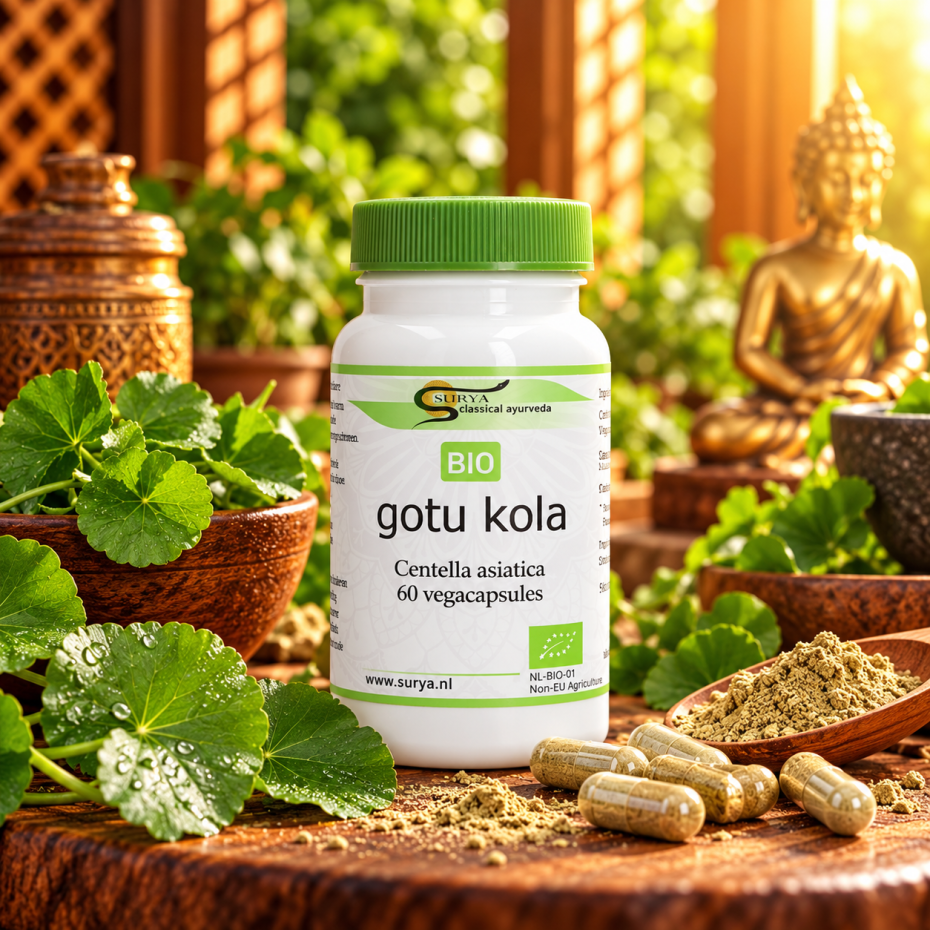 Gotu Kola (Centella asiatica)