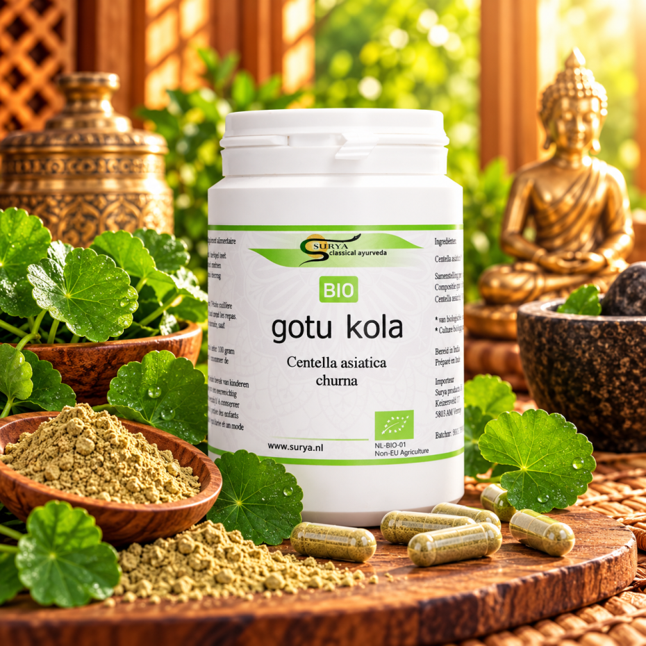 Gotu Kola Churna (Centella asiatica)