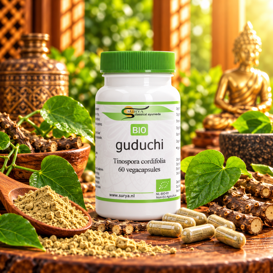 Guduchi (Tinospora cordifolia)