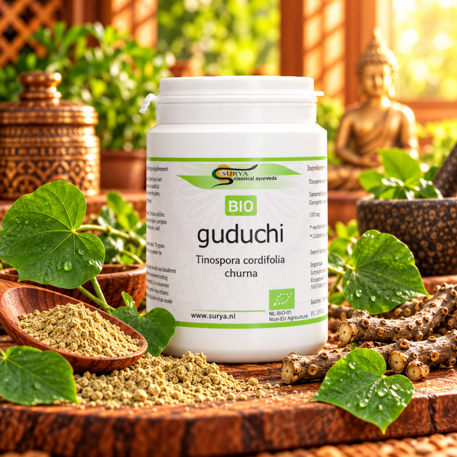 Guduchi Churna (Tinospora cordifolia)