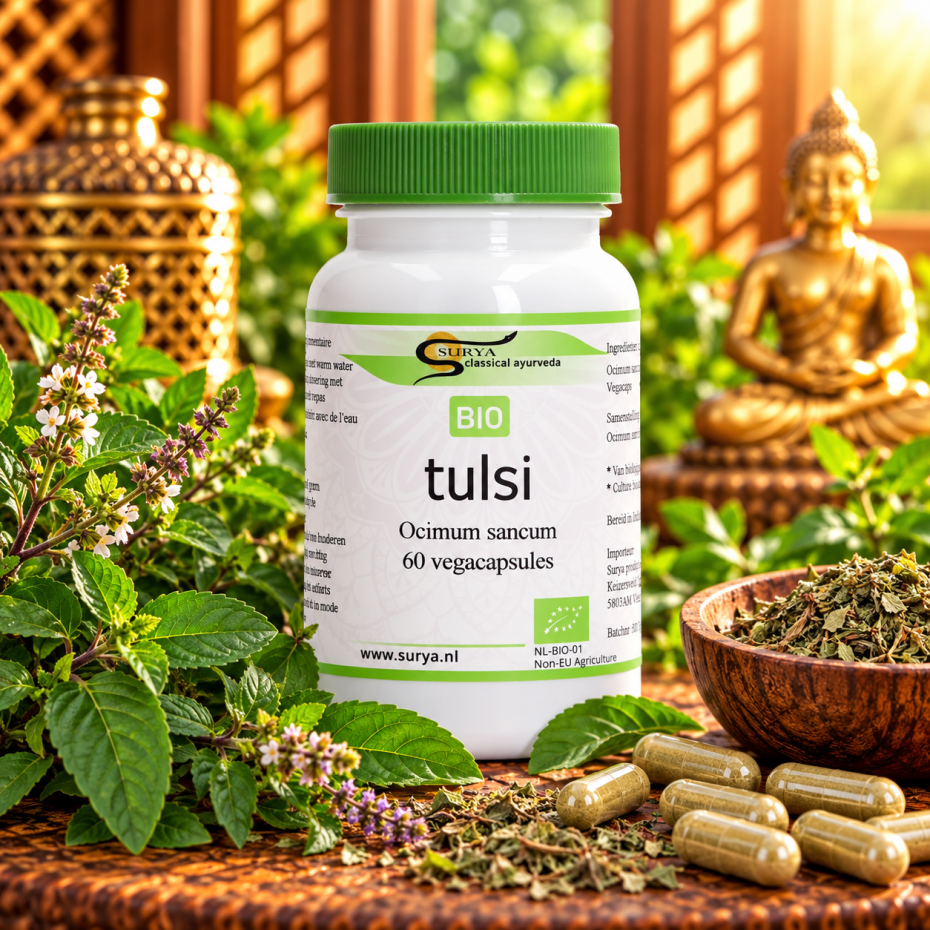 Bio Tulsi (Ocimum sanctum)