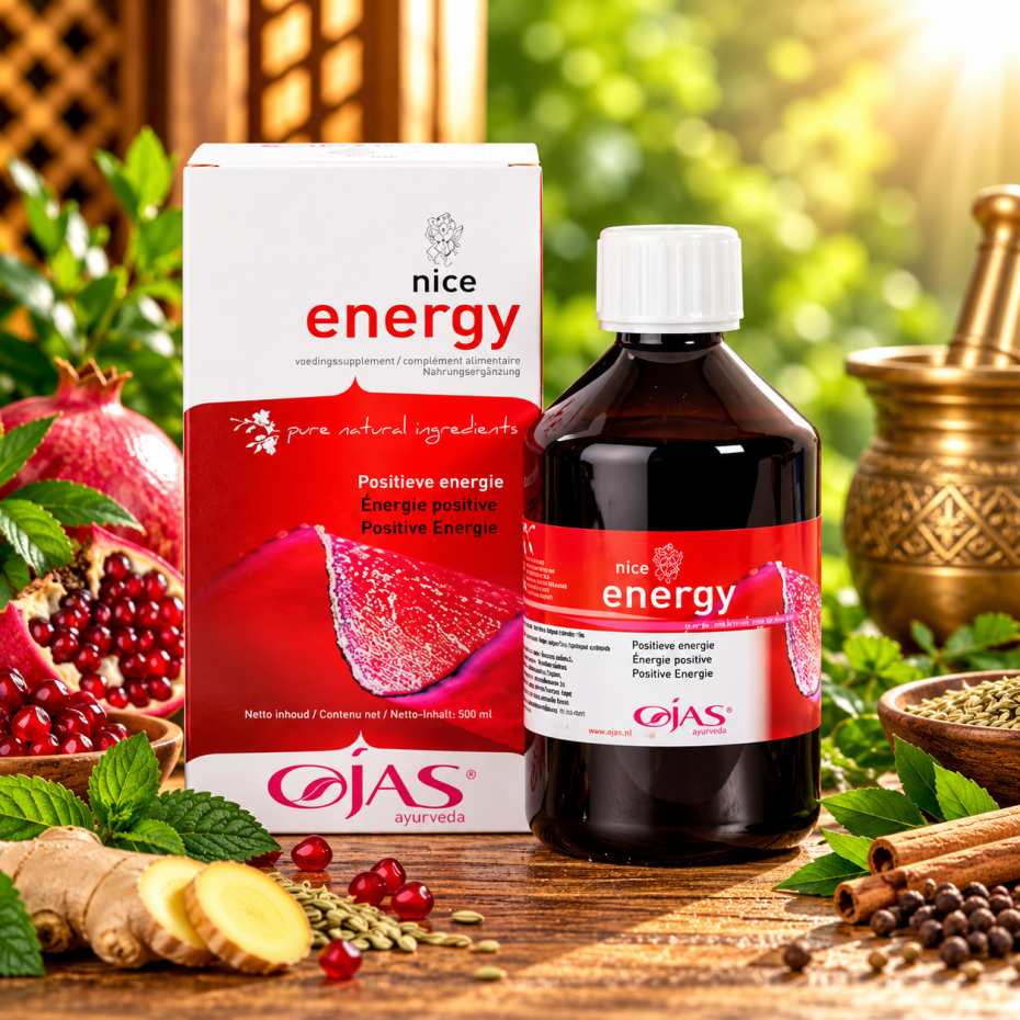 Nice Energy