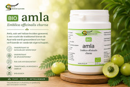 Amla Churna