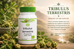 Tribulus Terrestris