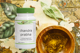 Chandraprabha