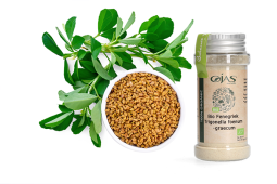 Fenugreek (Trigonella foenum-graecum)