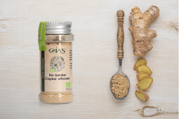 Gember (Zingiber officinale)