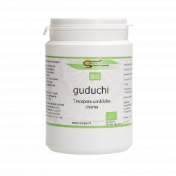 Guduchi Churna (Tinospora cordifolia)