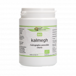 Kalmegh Churna (Andrographis paniculata)