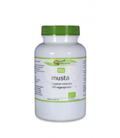 Musta (Cyperus rotundus)