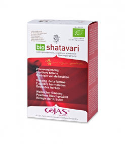 Shatavari Ojas