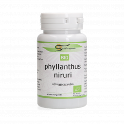 Phyllanthus niruri