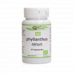  Phyllanthus niruri 