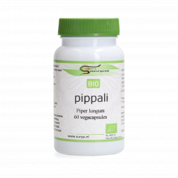 Pippali (Piper longum)