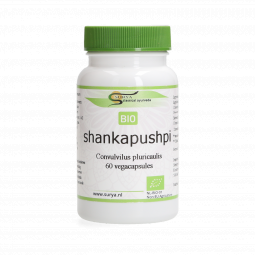 Shankapushpi (Convulvilus pluricaulis)