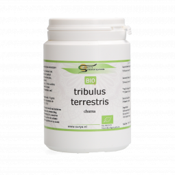 Tribulus terrestris Churna
