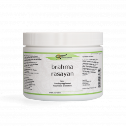 Brahma Rasayan