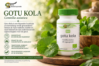 Gotu Kola (Centella asiatica)
