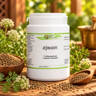 Ajwain (Trachyspermum ammi)
