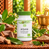 Arjuna