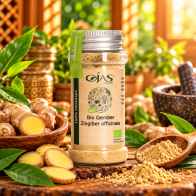 Gember (Zingiber officinale)