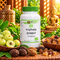 Triphala Guggul